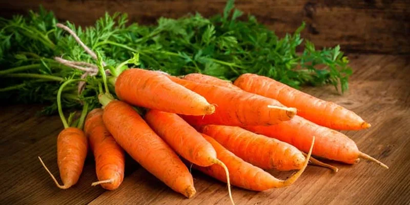 آب هویج تا چند ساعت در یخچال ماندگاری دارد؟