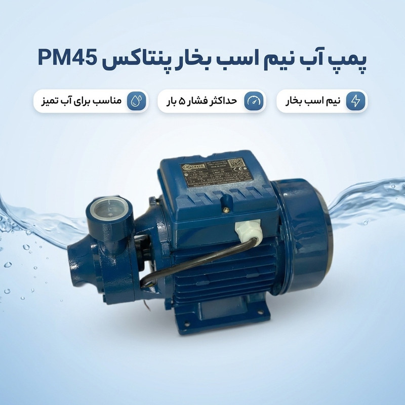 پمپ آب نیم اسب بخار پنتاکس کد PM45 - 2
