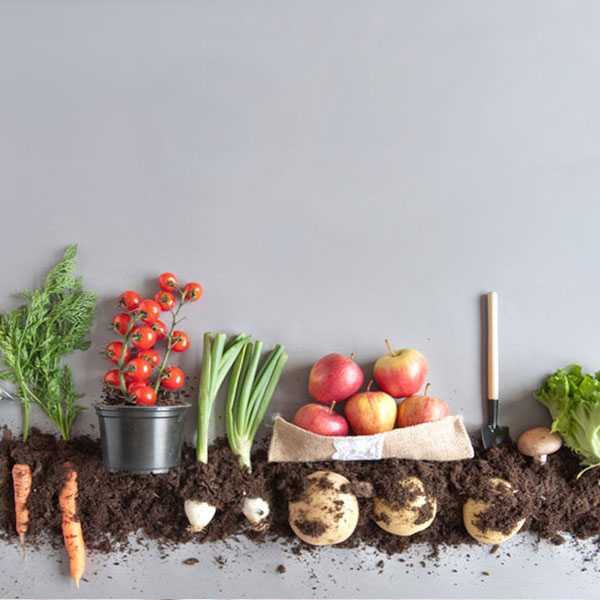 معیارهای تهیه محصولات ارگانیک و فواید آن